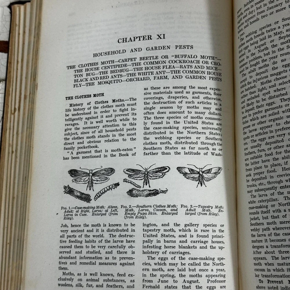 Household Discoveries and Mrs Curtis's‎ cook book- Antique cookbook 1903